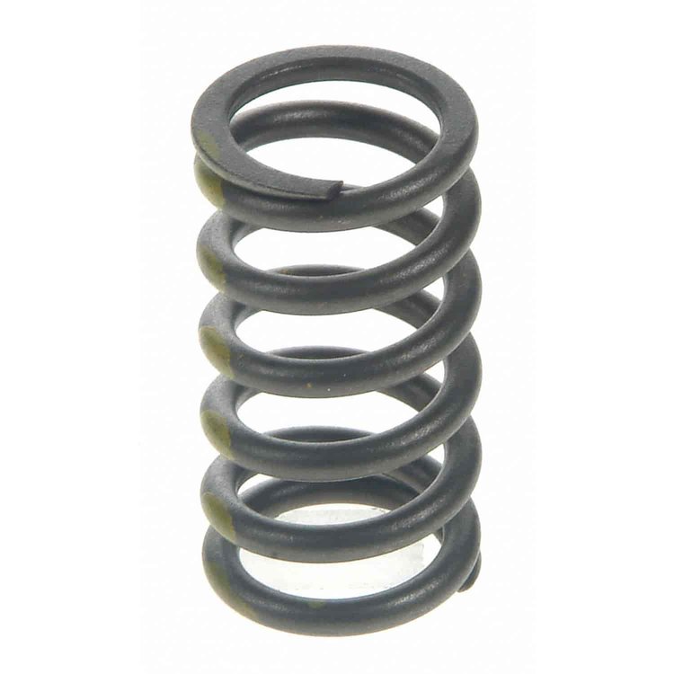 Valve Spring