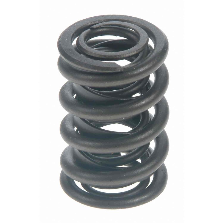 Valve Spring