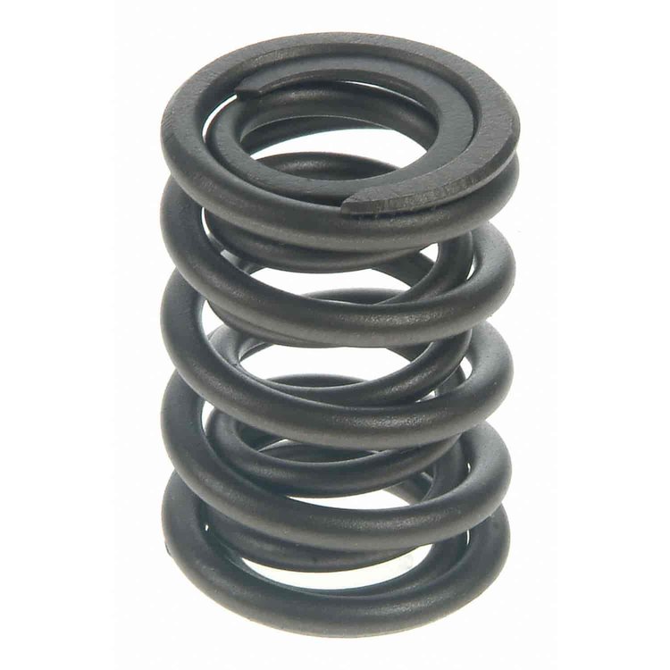 Valve Spring
