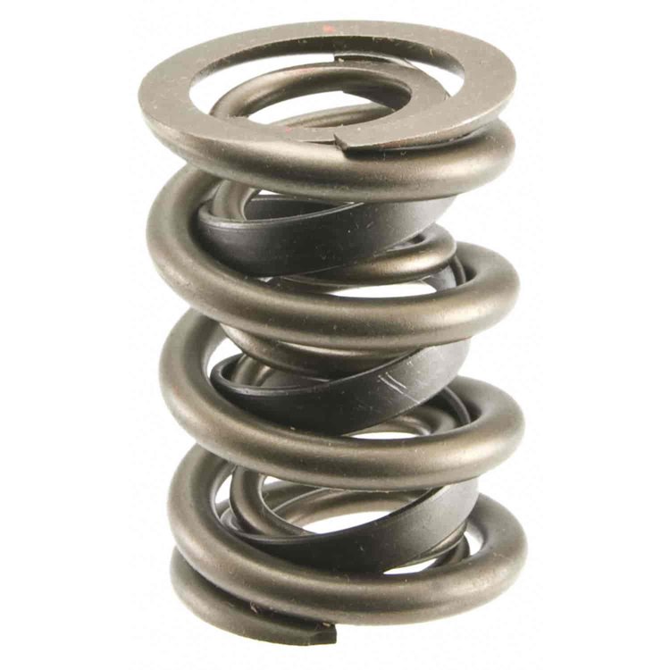 Valve Spring