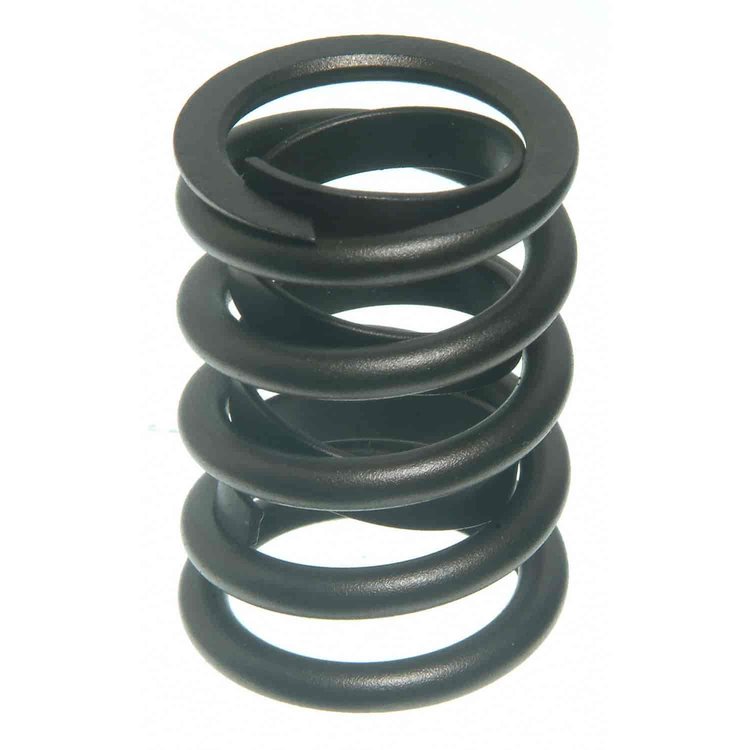Valve Spring