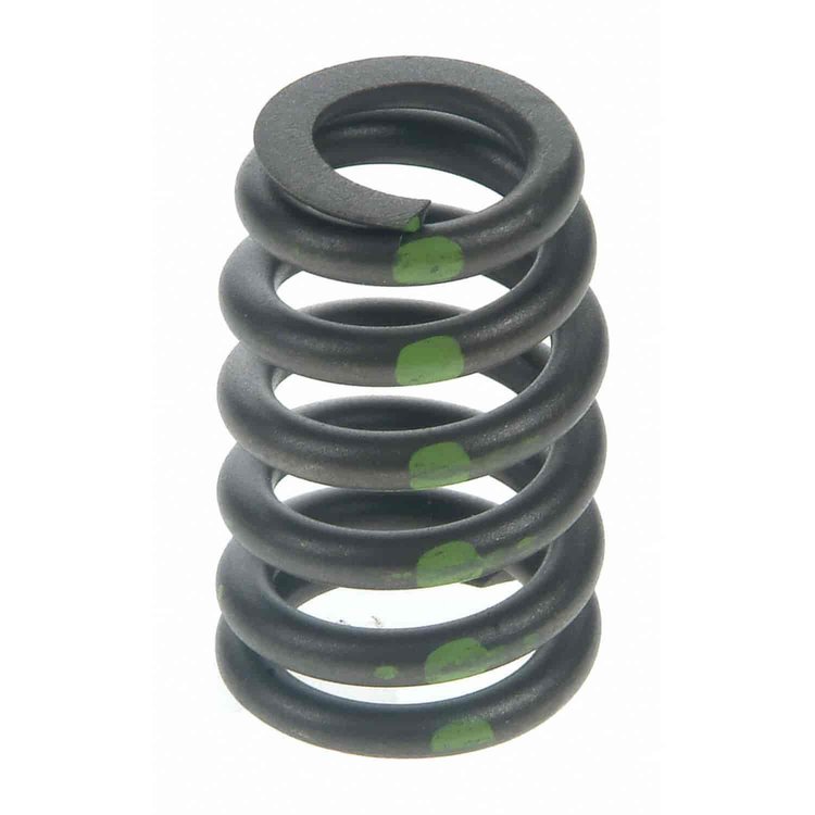 Valve Spring