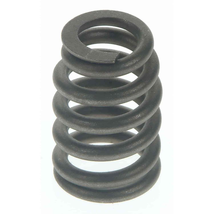 Valve Spring