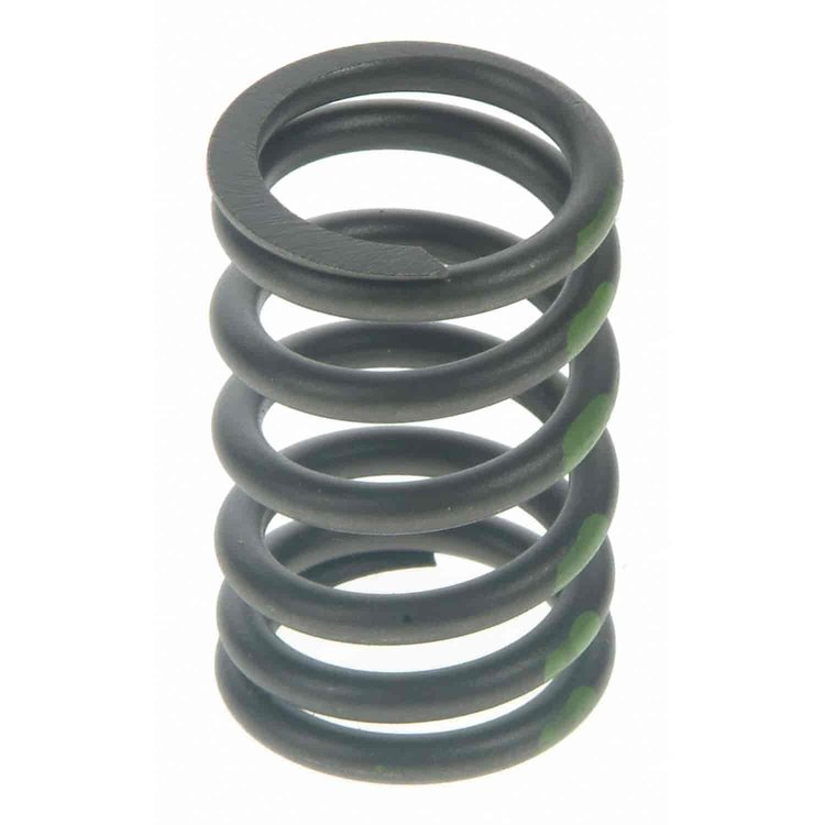 Valve Spring