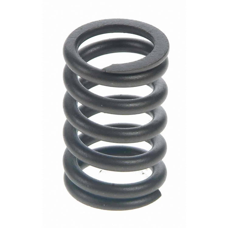 Valve Spring