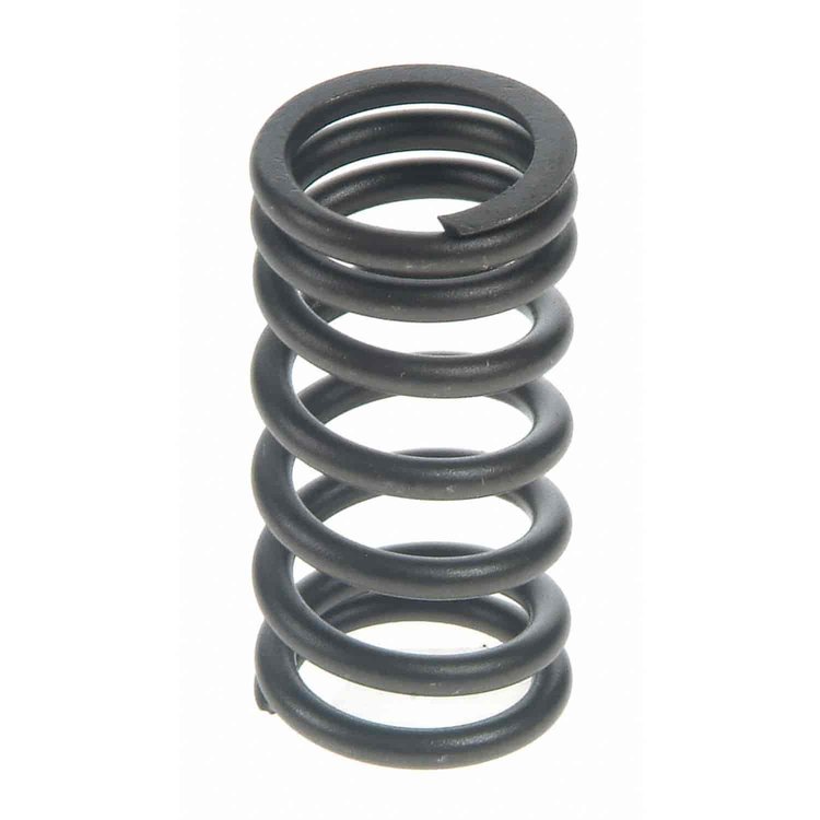 Valve Spring