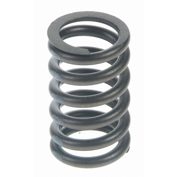 Valve Spring