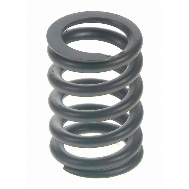 Valve Spring