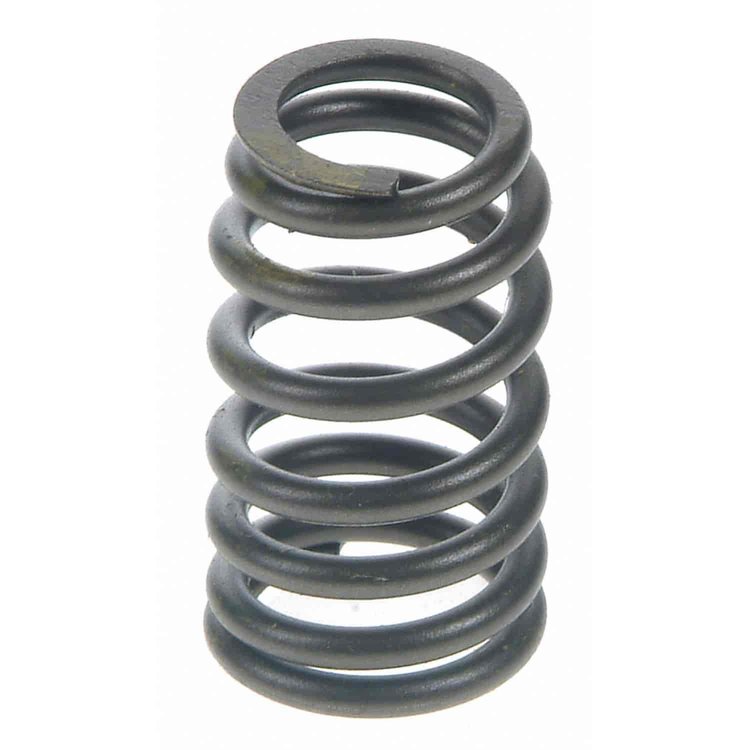 Valve Spring