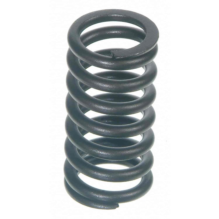 Valve Spring