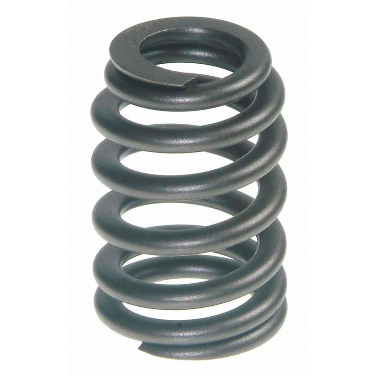 Valve Spring