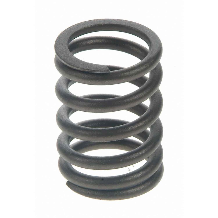 Valve Spring