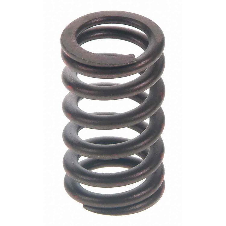 Valve Spring