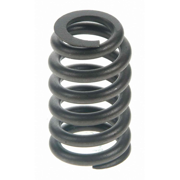 Valve Spring