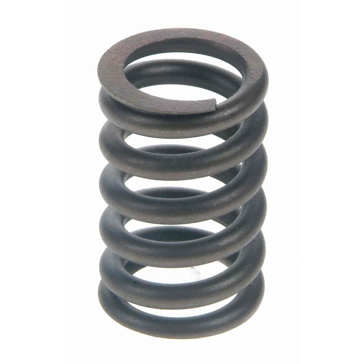 Valve Spring