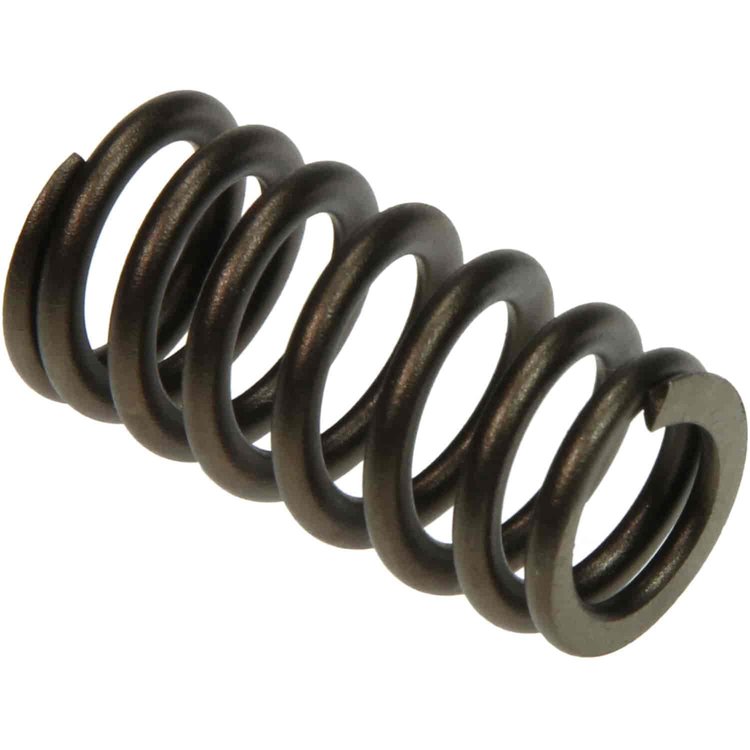 Valve Spring