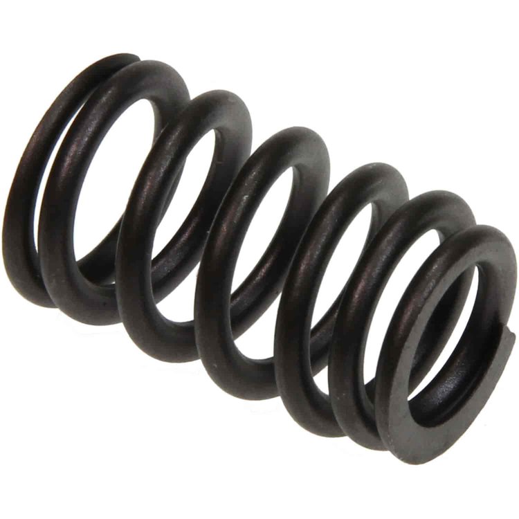 Valve Spring