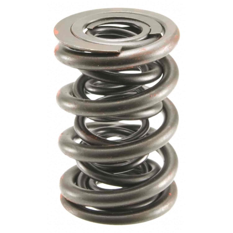 Valve Spring