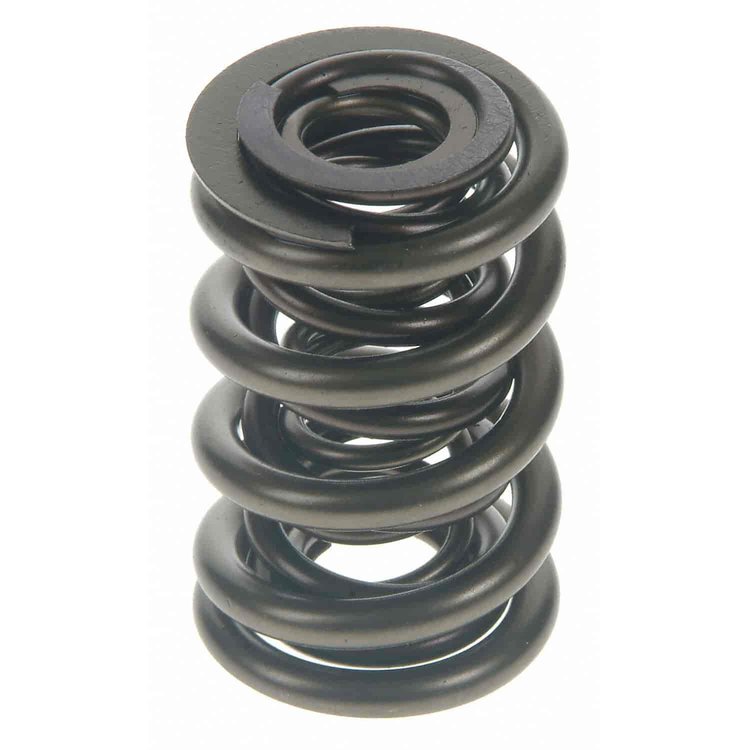 Valve Spring