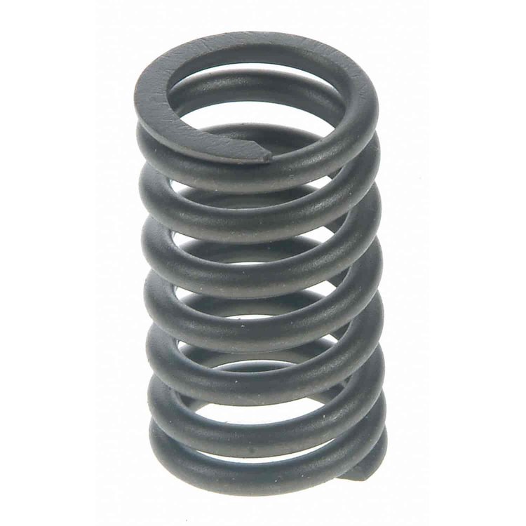 Valve Spring