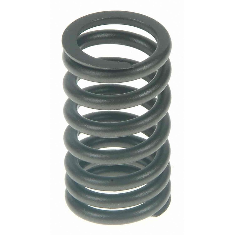 Valve Spring