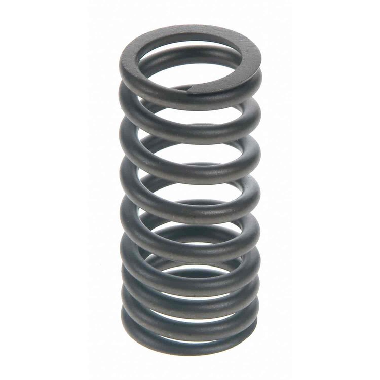 Valve Spring