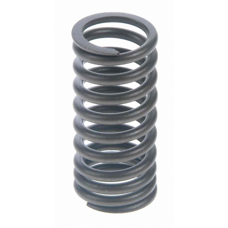 Valve Spring