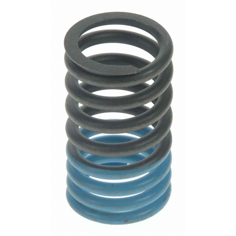 Valve Spring