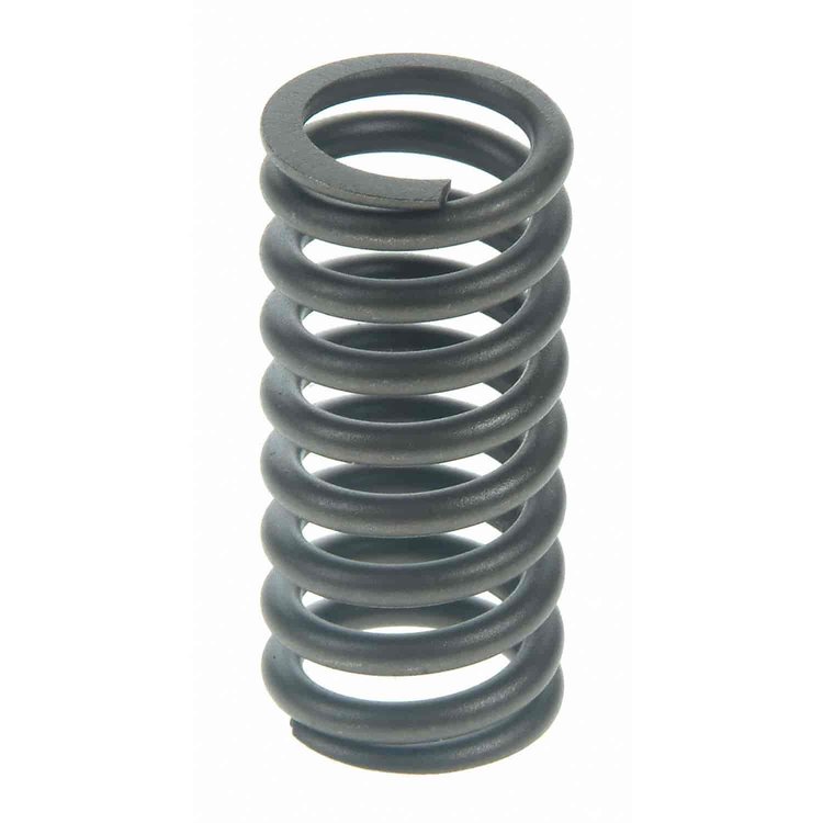 Valve Spring