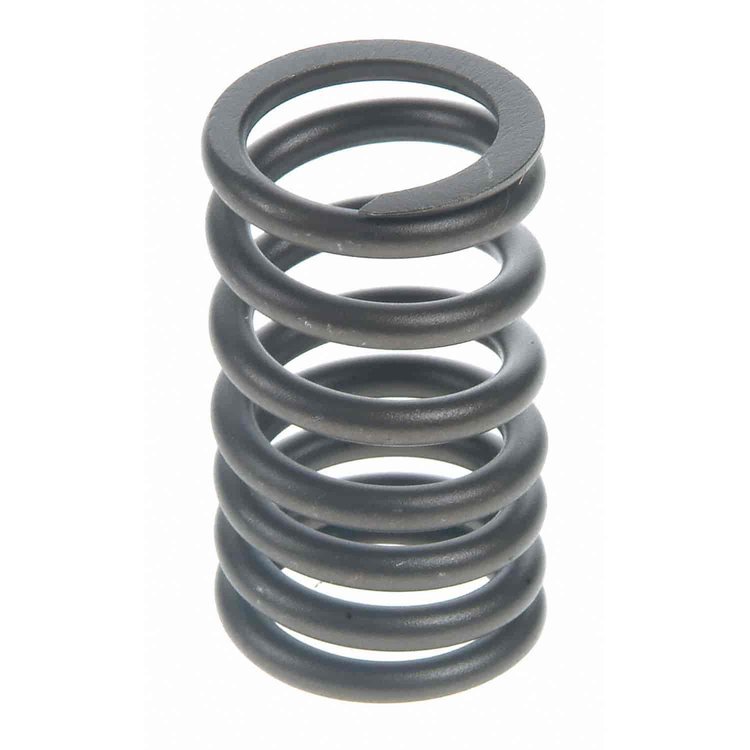 Valve Spring