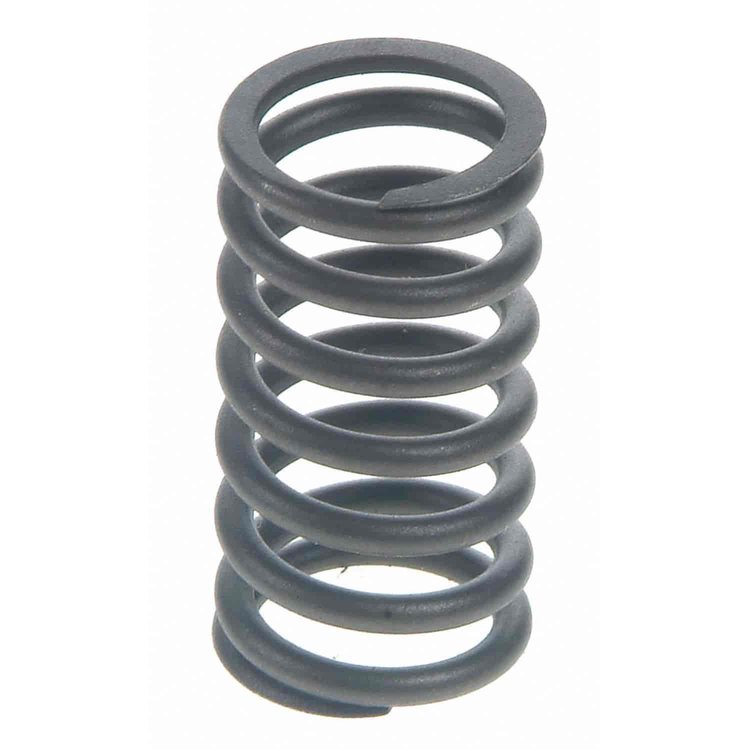 Valve Spring