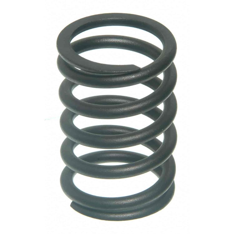 Valve Spring