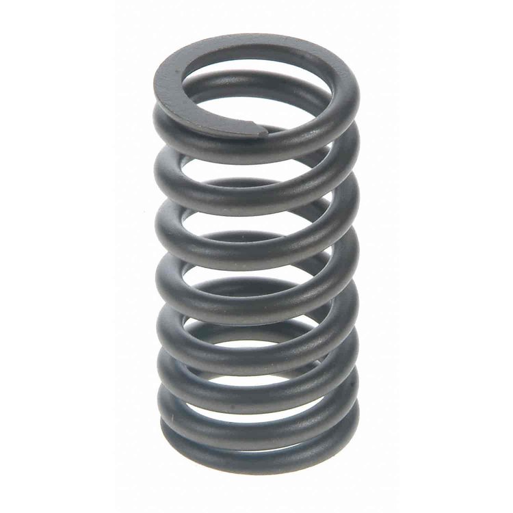 Valve Spring