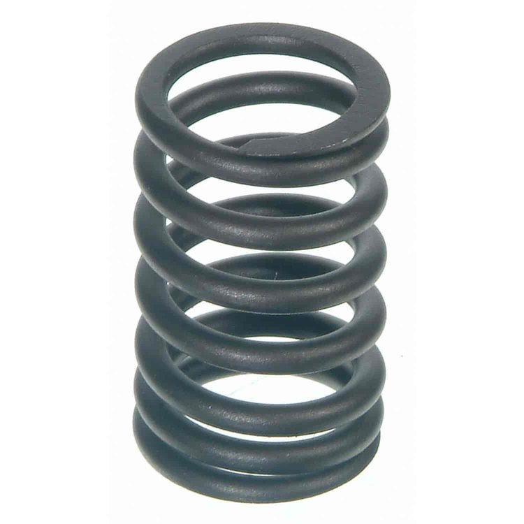 Valve Spring
