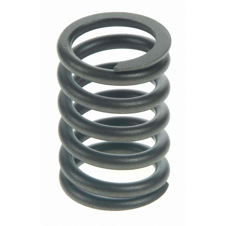 Valve Spring