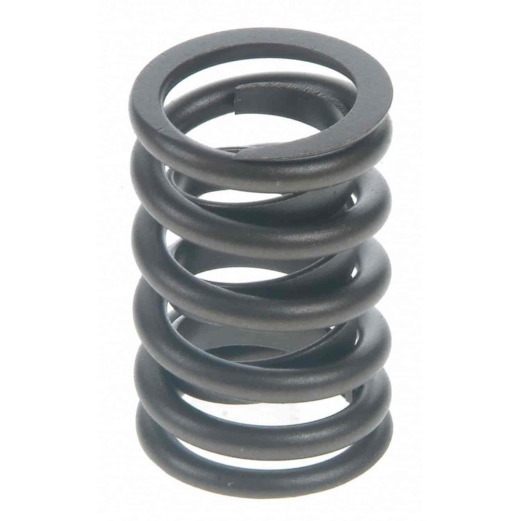 Valve Spring