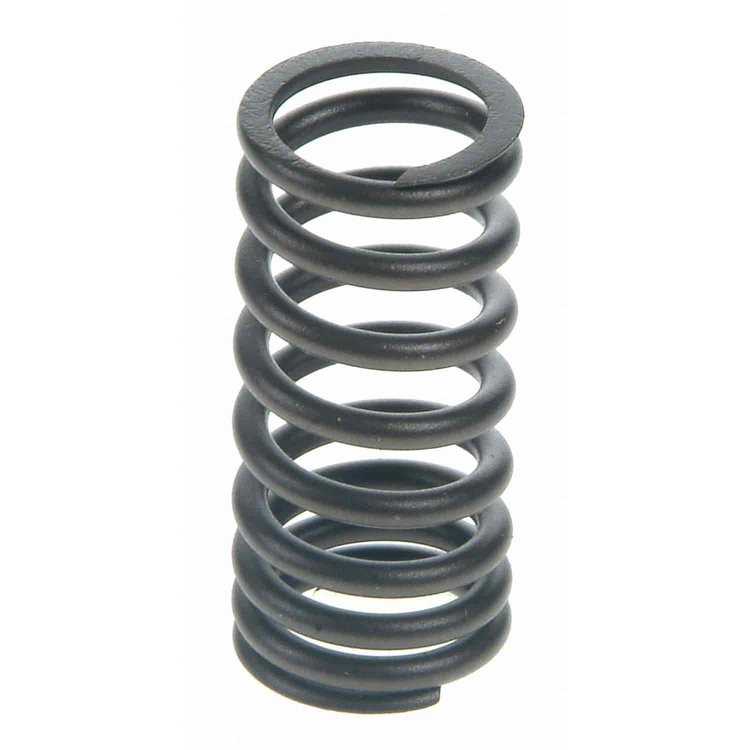 Valve Spring