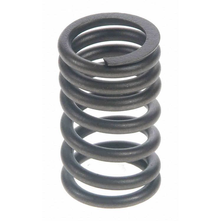 Valve Spring