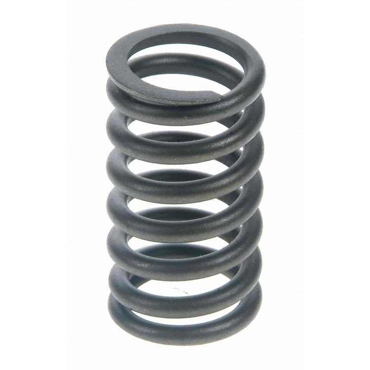 Valve Spring
