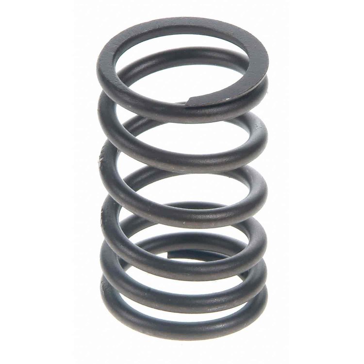 Valve Spring