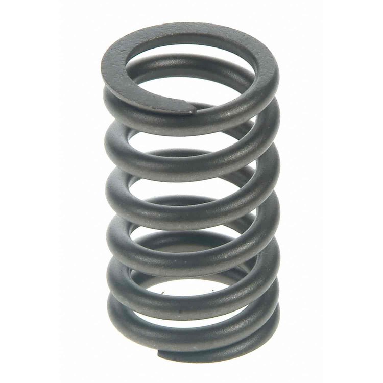 Valve Spring