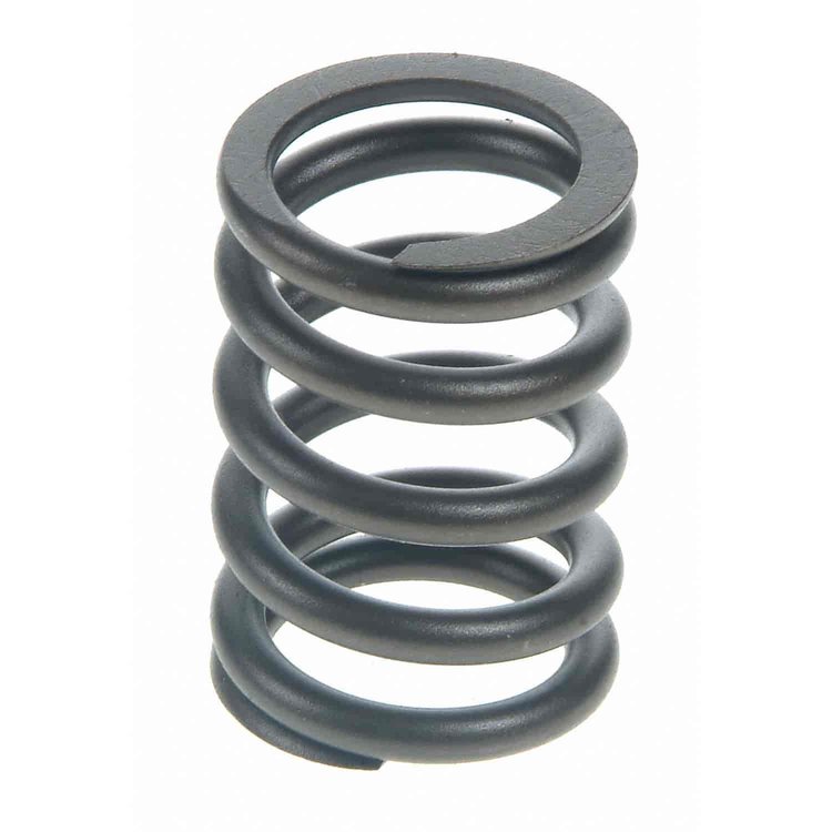 Valve Spring