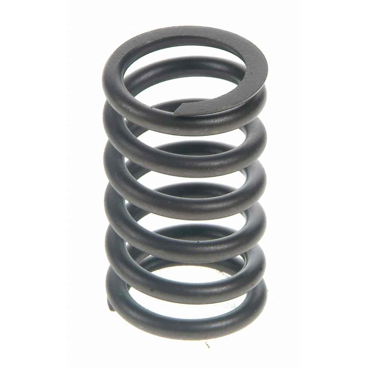 Valve Spring