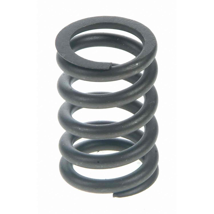 Valve Spring