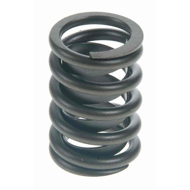Valve Spring