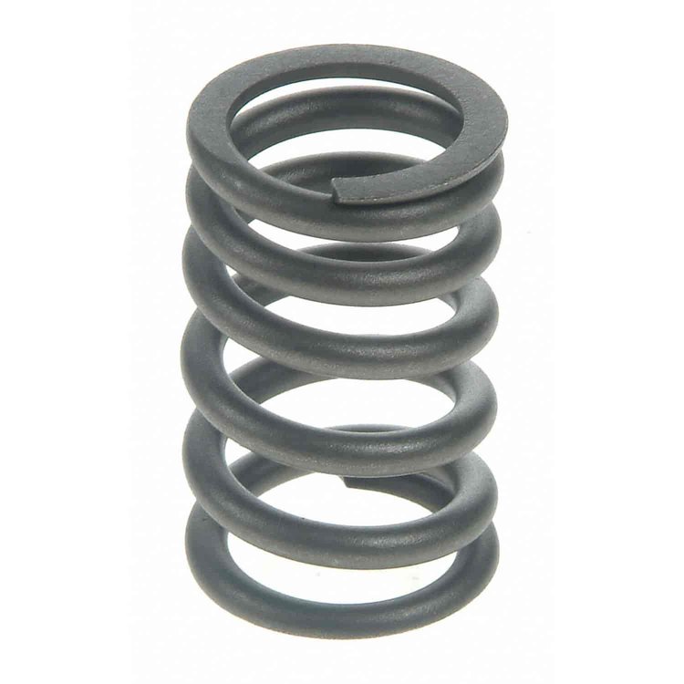 VALVE SPRING(EA)