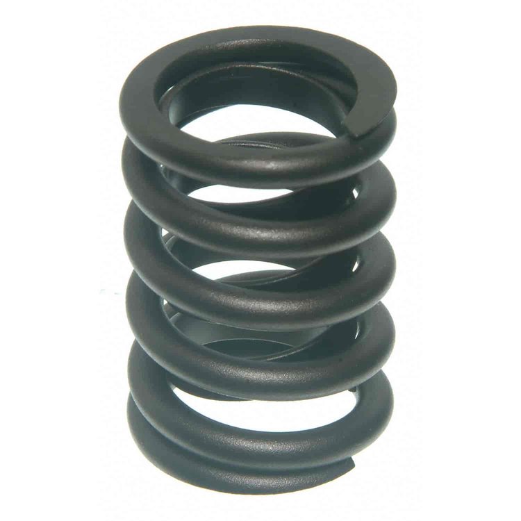 Valve Spring