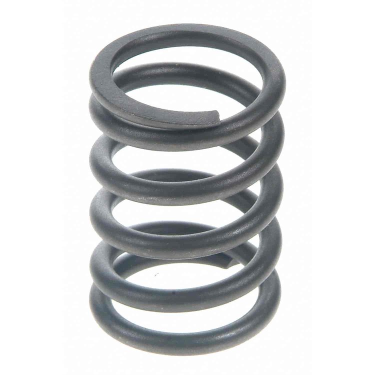 Valve Spring