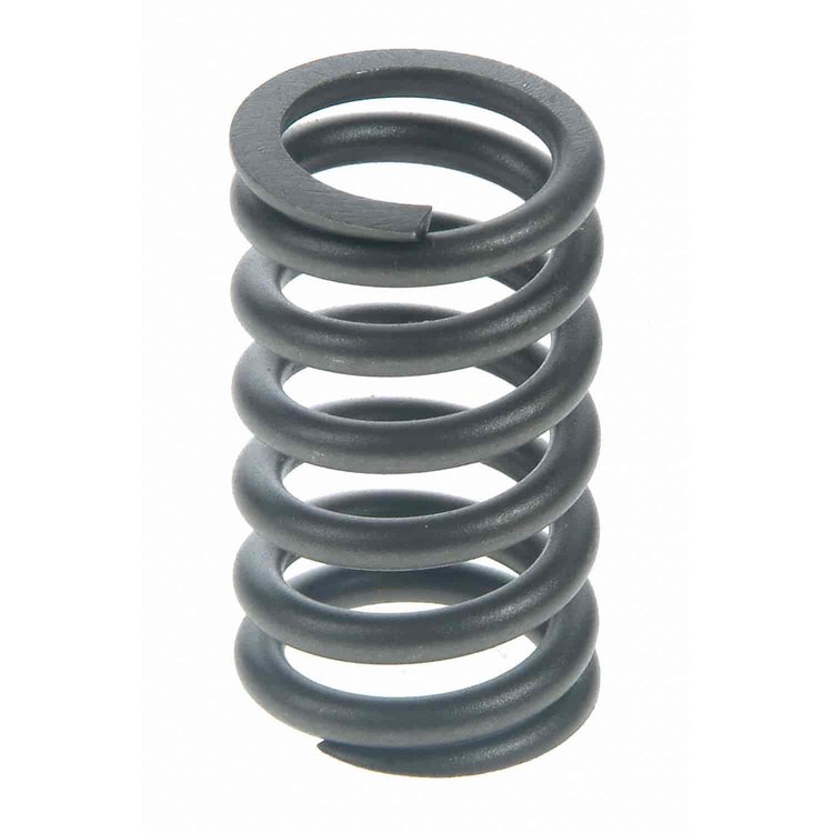 Valve Spring