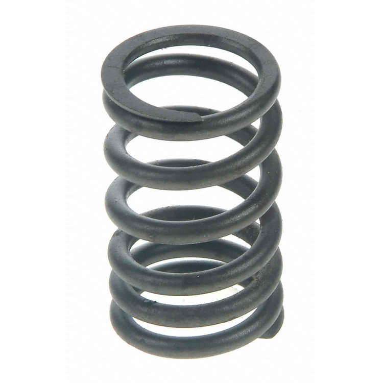 Valve Spring